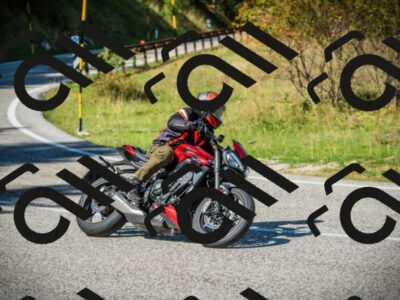 202509131241-DSC03750_c1_