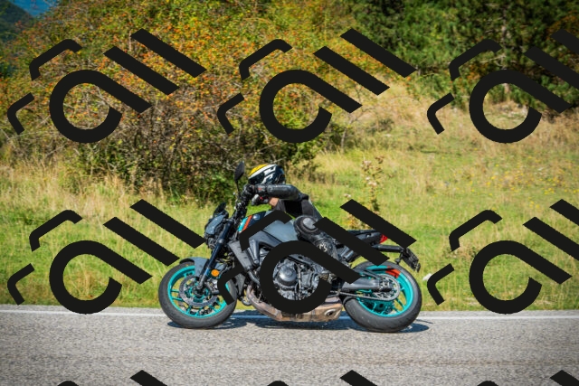 202509131243-DSC03797_c1_