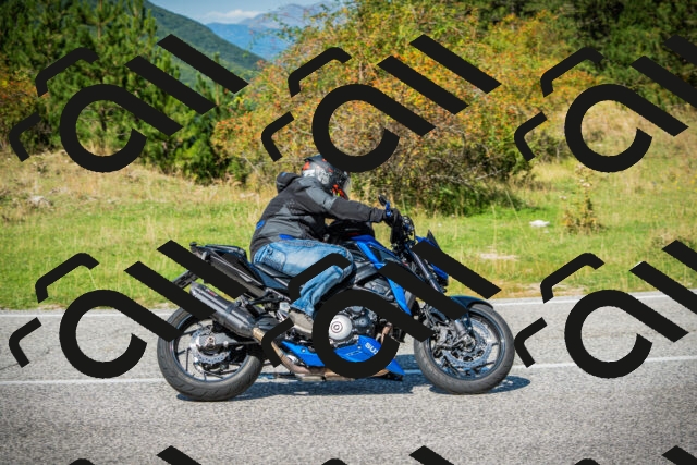 202509131246-DSC03815_c1_