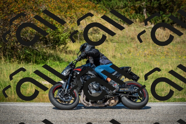 202509131250-DSC03889_c1_