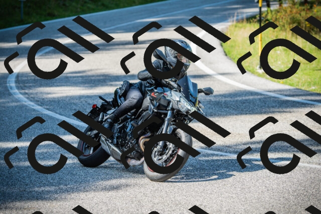 202509131252-DSC03918_c1_