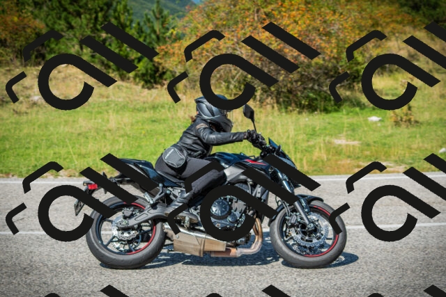 202509131252-DSC03919_c1_