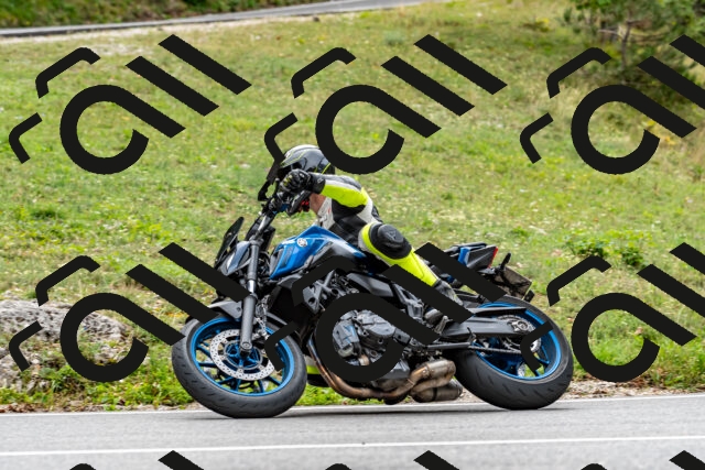 202509141258-DSC_0175_d2_