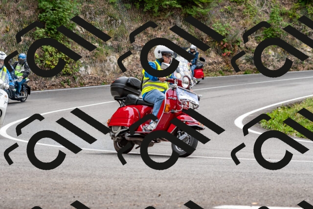 202509141259-DSC_0181_d2_