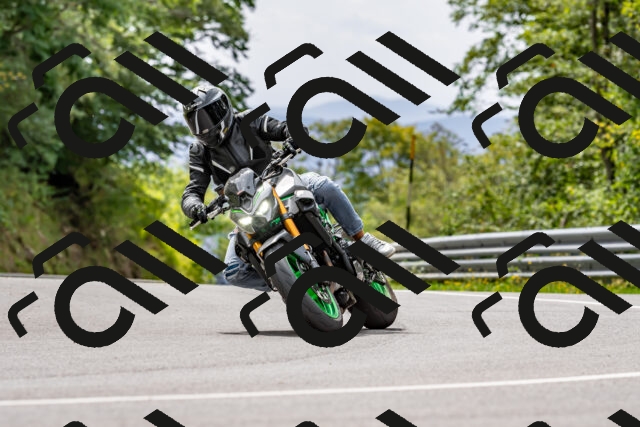 202509141303-DSC_0213_d2_