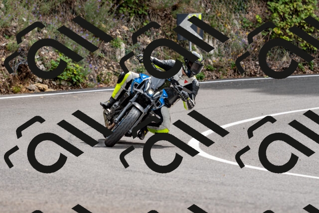 202509141303-DSC_0217_d2_