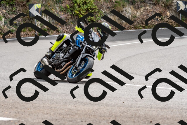 202509141303-DSC_0218_d2_