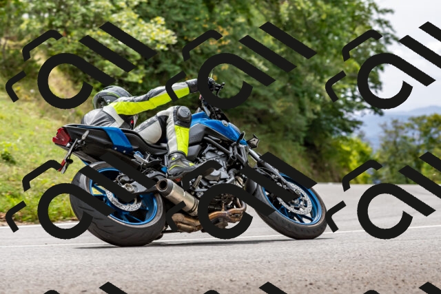 202509141303-DSC_0222_d2_