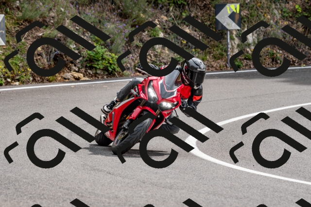 202509141304-DSC_0226_d2_