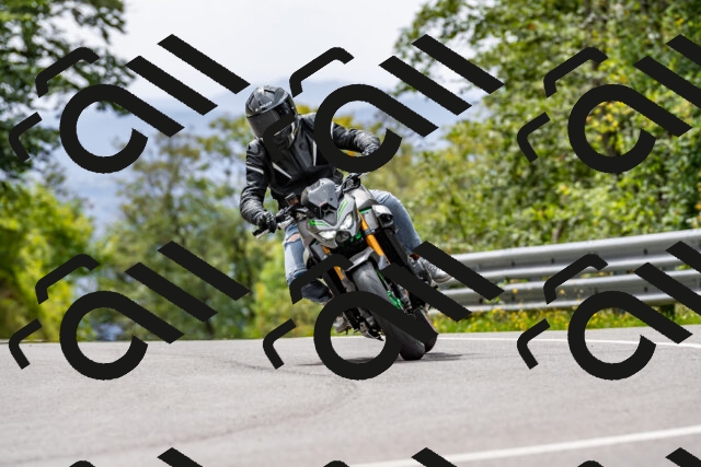 202509141305-DSC_0235_d2_