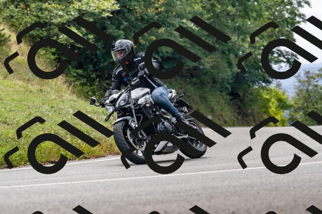 202509141307-DSC_0249_d2_