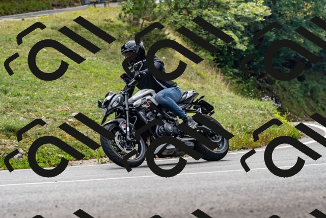 202509141307-DSC_0250_d2_