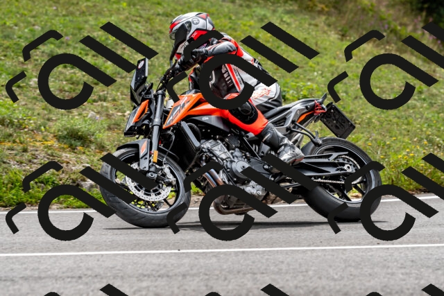 202509141309-DSC_0251_d2_