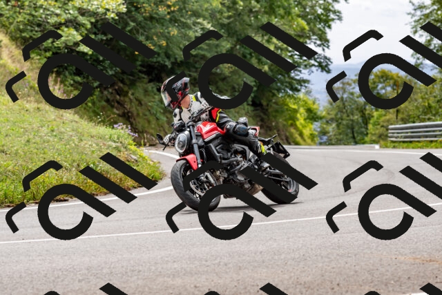 202509141309-DSC_0254_d2_