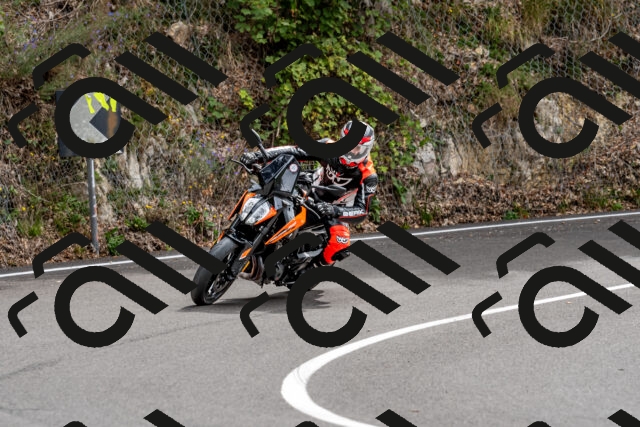 202509141310-DSC_0259_d2_