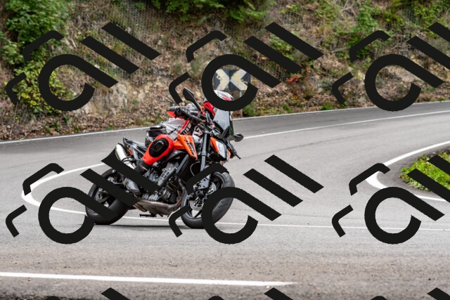 202509141310-DSC_0261_d2_