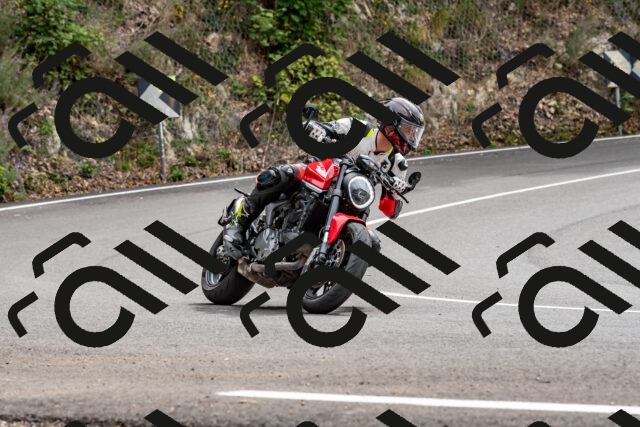 202509141310-DSC_0262_d2_