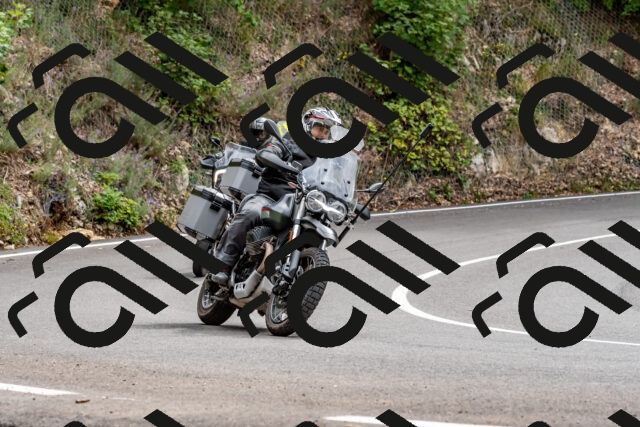 202509141312-DSC_0267_d2_