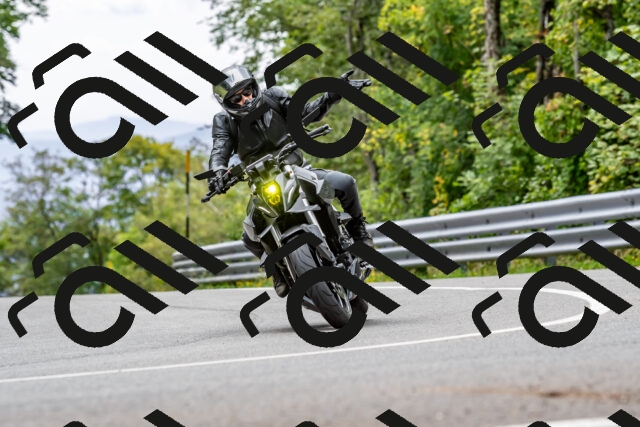 202509141312-DSC_0273_d2_