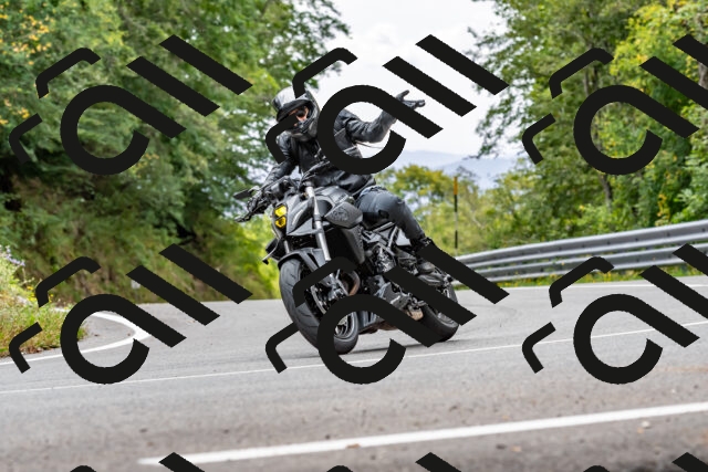 202509141312-DSC_0274_d2_