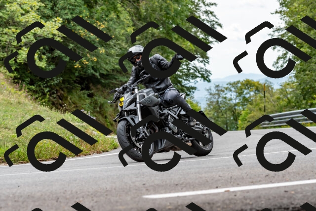 202509141312-DSC_0275_d2_