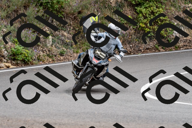 202509141313-DSC_0277_d2_