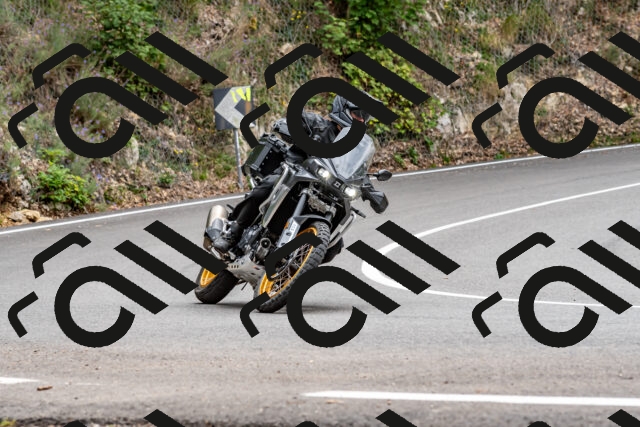 202509141313-DSC_0281_d2_