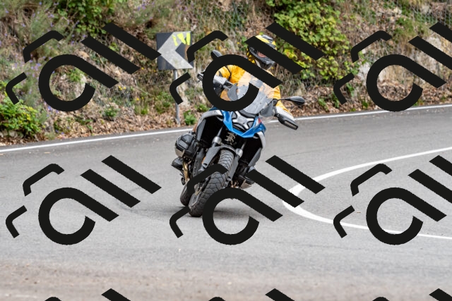 202509141315-DSC_0284_d2_