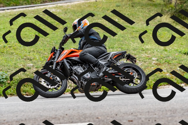 202509141316-DSC_0288_d2_