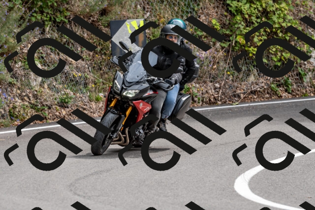 202509141317-DSC_0296_d2_