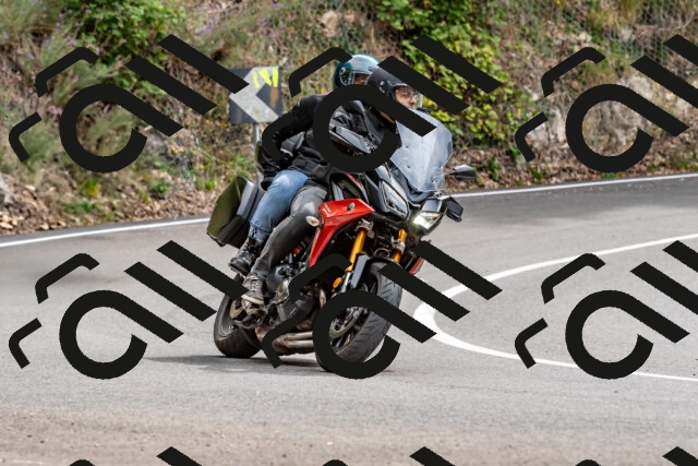 202509141317-DSC_0297_d2_