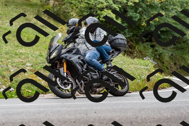 202509141319-DSC_0312_d2_