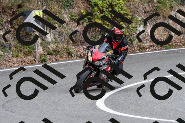 202509141321-DSC_0314_d2_