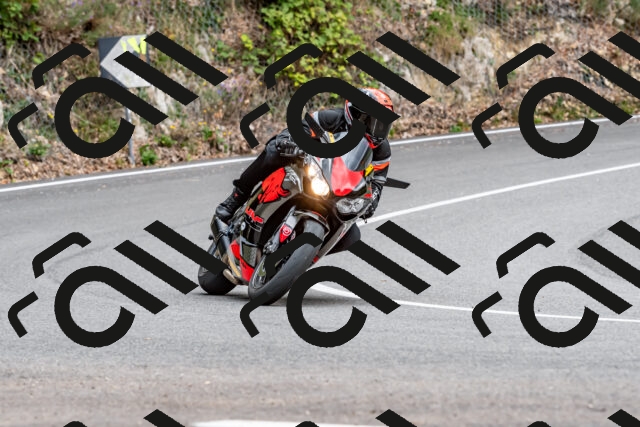 202509141321-DSC_0315_d2_