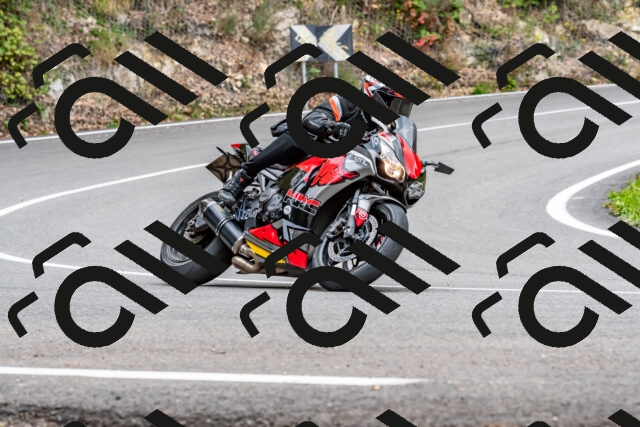 202509141321-DSC_0316_d2_