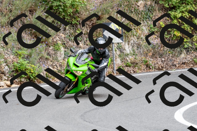 202509141321-DSC_0318_d2_