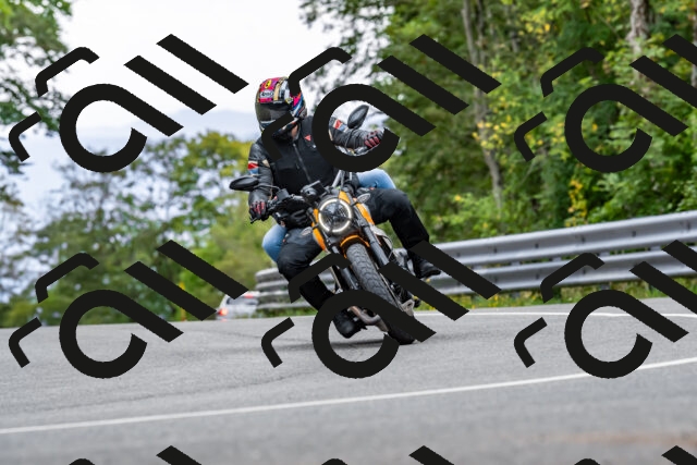 202509141322-DSC_0322_d2_