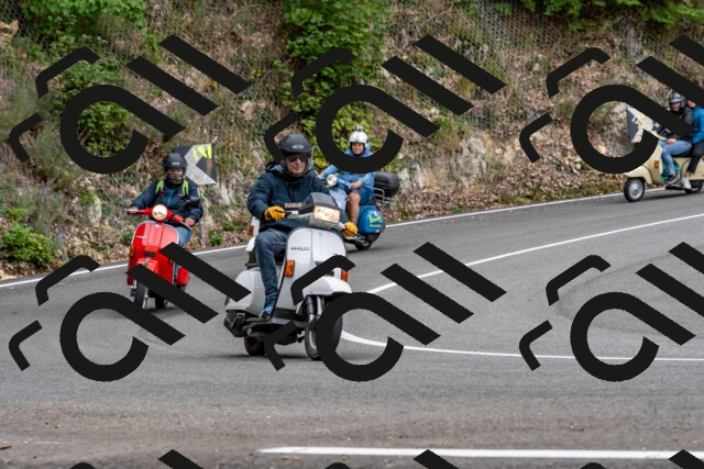 202509141323-DSC_0333_d2_