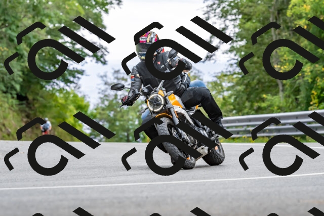 202509141327-DSC_0366_d2_