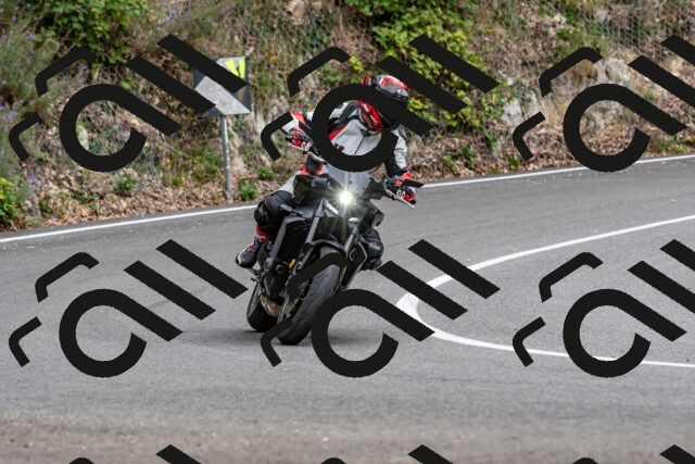 202509141328-DSC_0374_d2_