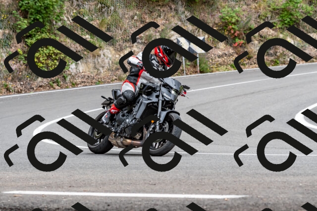 202509141328-DSC_0375_d2_