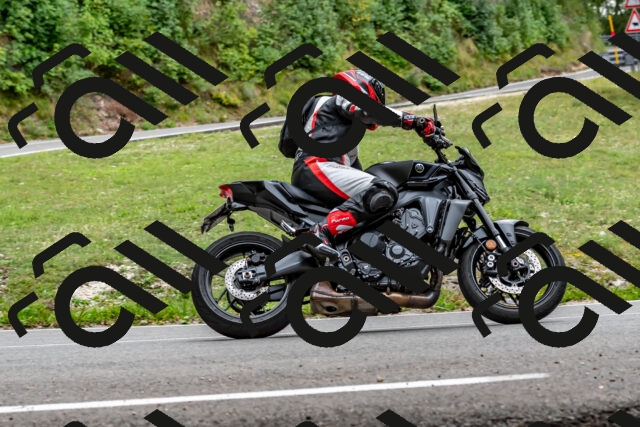 202509141328-DSC_0377_d2_