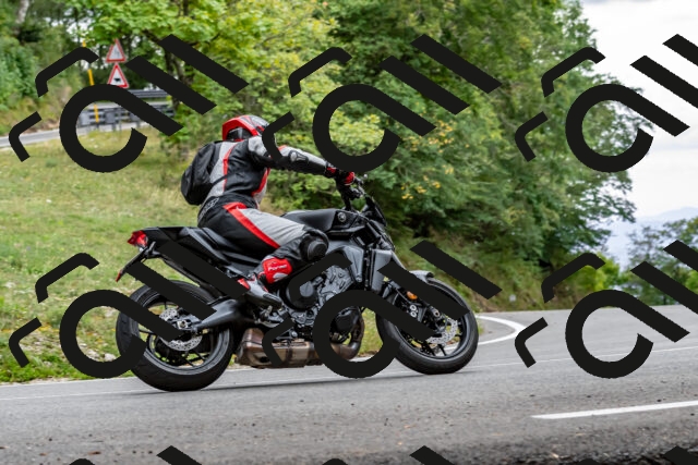 202509141328-DSC_0378_d2_