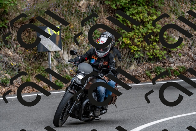 202509141332-DSC_0379_d2_