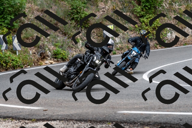 202509141333-DSC_0389_d2_