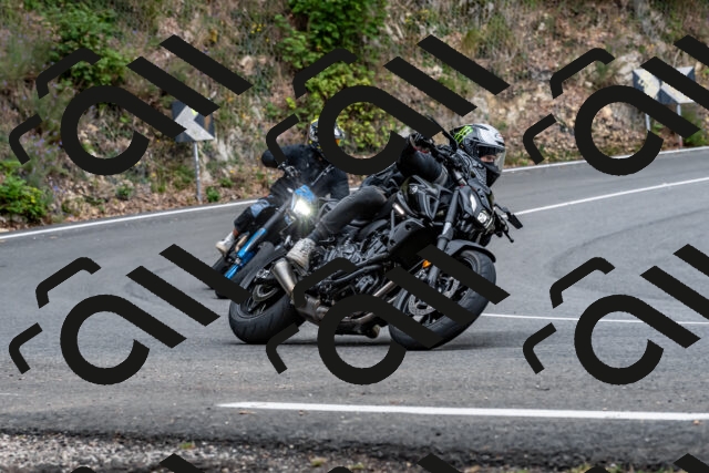 202509141333-DSC_0390_d2_