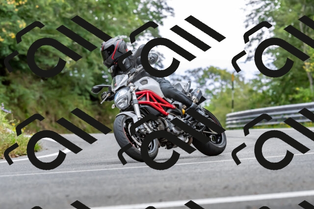 202509141337-DSC_0408_d2_