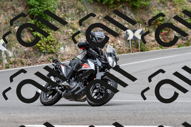 202509141338-DSC_0413_d2_