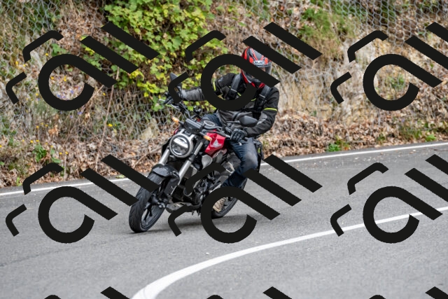 202509141338-DSC_0415_d2_