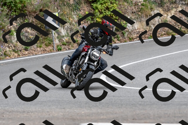 202509141338-DSC_0416_d2_